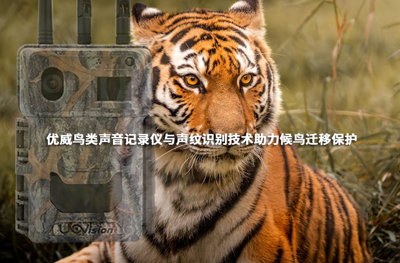 優(yōu)威鳥(niǎo)類聲音記錄儀與聲紋識(shí)別技術(shù)助力候鳥(niǎo)遷移保護(hù)