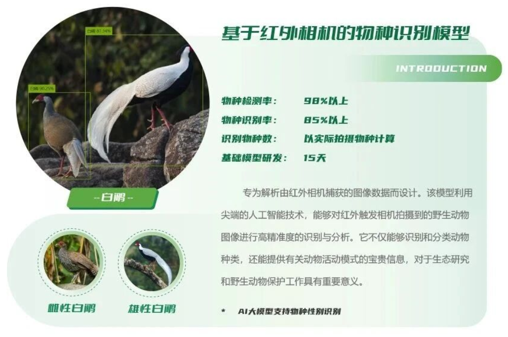 1756967476872476.png 1.png