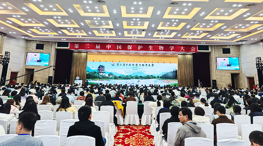 1765343988113366.jpg 未標(biāo)題-1.jpg